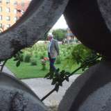 Un visitatore nel giardino delle rose